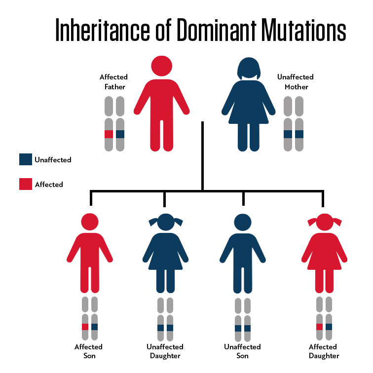 Exploring the World of Genetic Mutations,Causes,Types And Implications