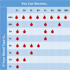 The Top Notch Of Understanding Blood Groups: A Comprehensive Exploration