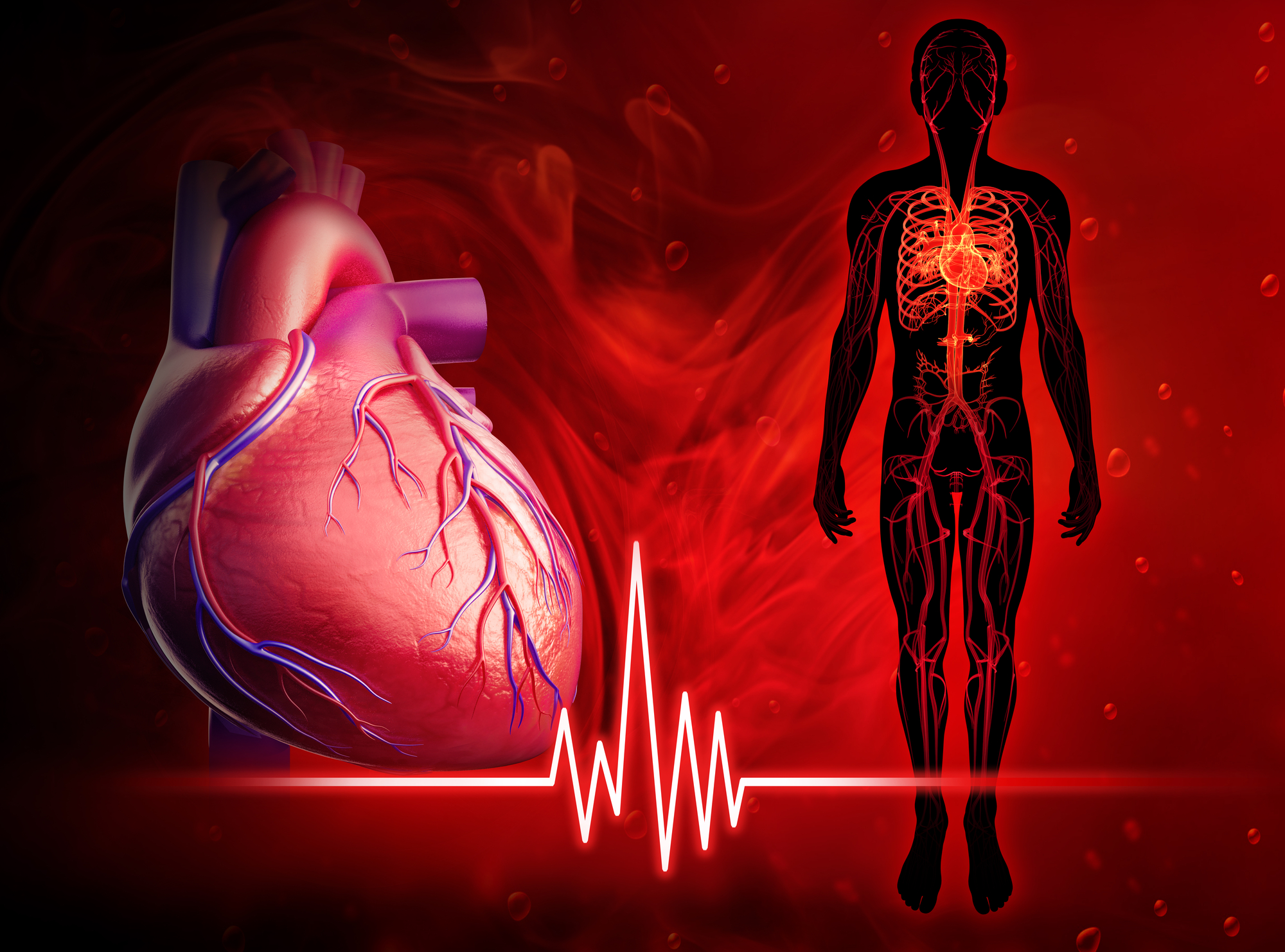  Unveiling the Symphony of Life: Exploring the Functions of the Heart