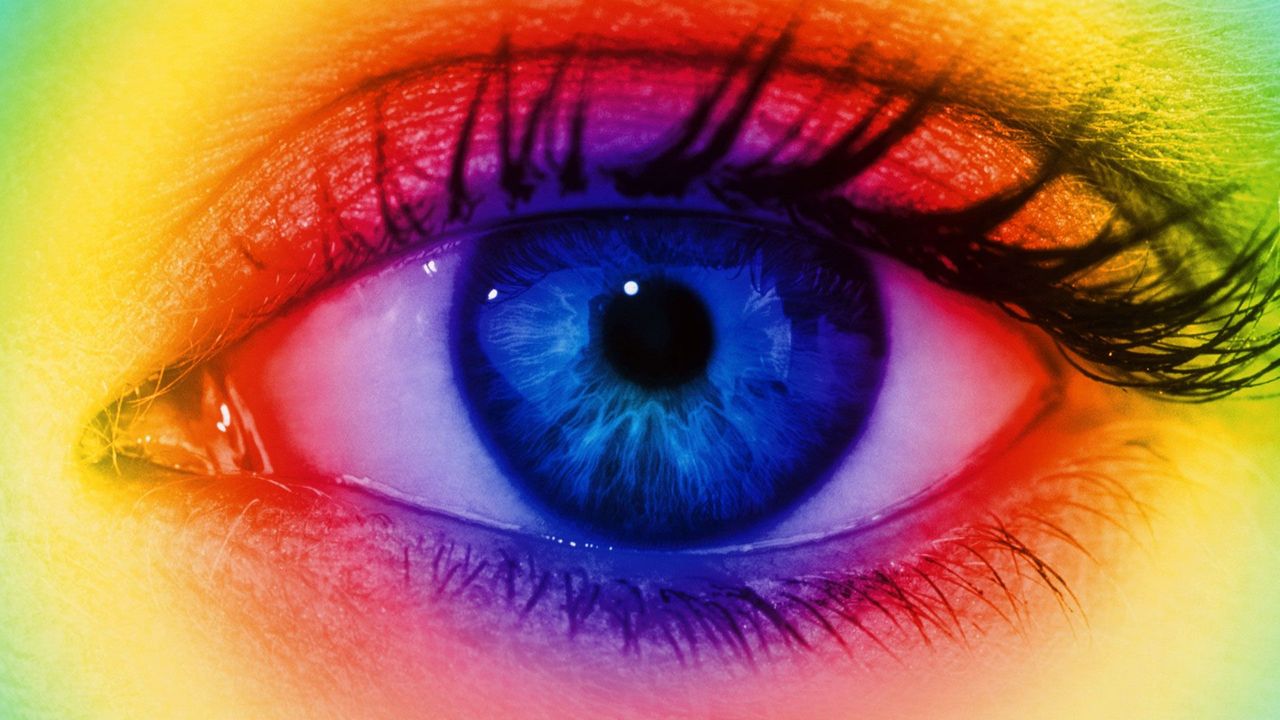 The Wonders of the Human Eye