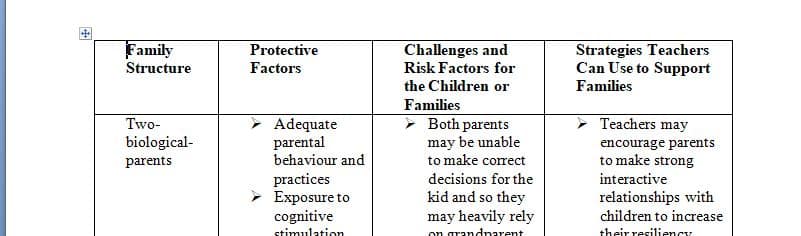 What are the protective factors challenges and risk factors for the children or families