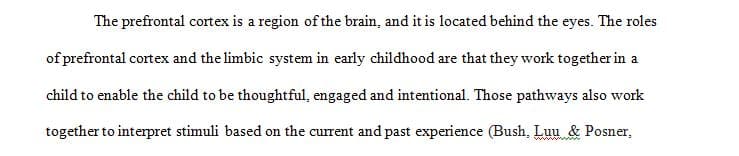 Explain the roles of the prefrontal cortex and limbic system in early childhood.