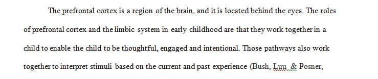 Explain the roles of the prefrontal cortex and limbic system in early childhood. 1 Explain the roles of the prefrontal cortex and limbic system in early childhood.